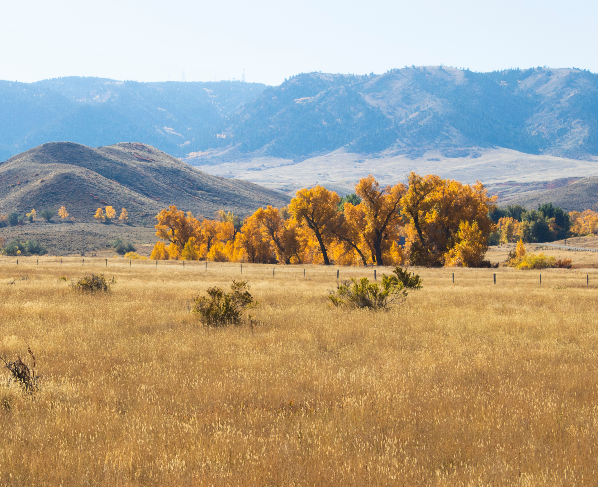 wyoming mountain range and trees